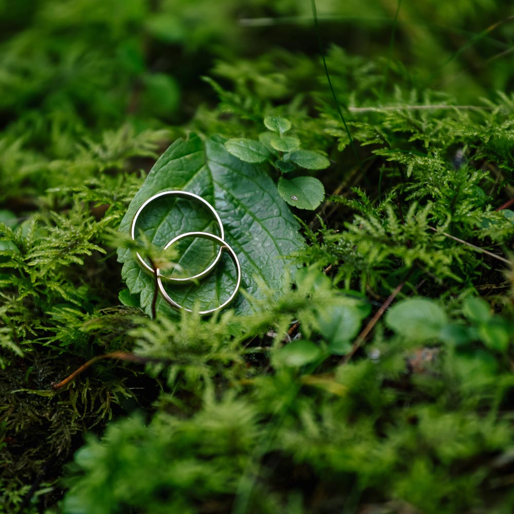 Hochzeitsringe liegen auf einem Blatt umgeben von Wald