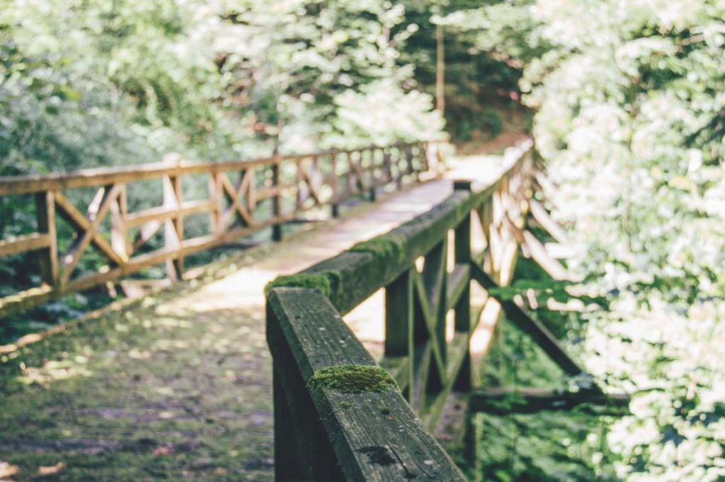 Bilck auf vermooste Brücke im Wald bei Bad Herrenalb, während geführte Waldbaden Wanderungen, ein Angebot des Selfness Hotel SCHWARZWALD PANORAMA
